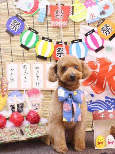 20240706チョコちゃん